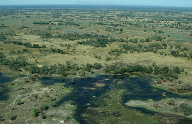 Okavango Delta